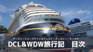 Dcl Wdw Dcl Wdwの計画 予約 個人手配のメリット デメリット Meritrip