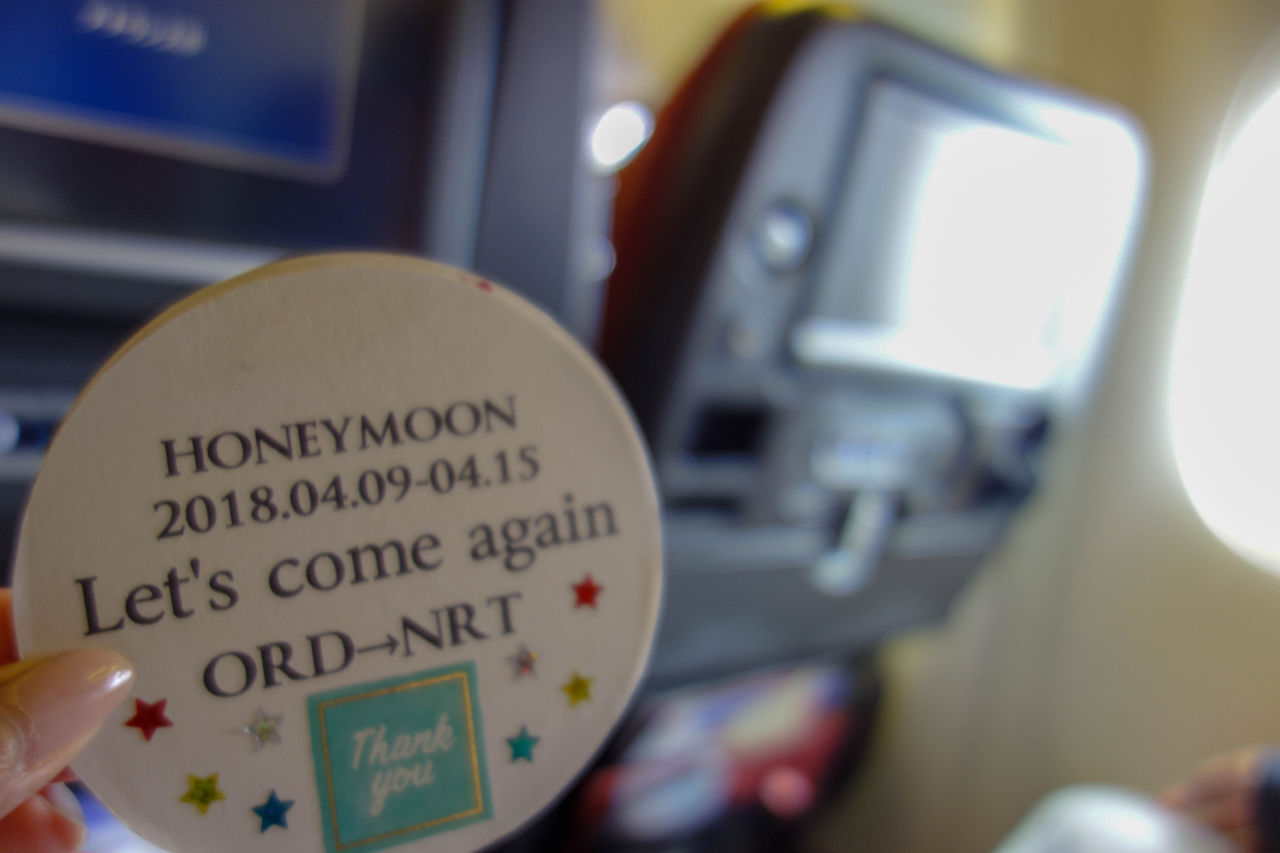 ハネムーンWDW】帰りのシカゴ乗り継ぎ時間は楽々5分！シカゴ→成田のJAL機内レポート！ | meritrip