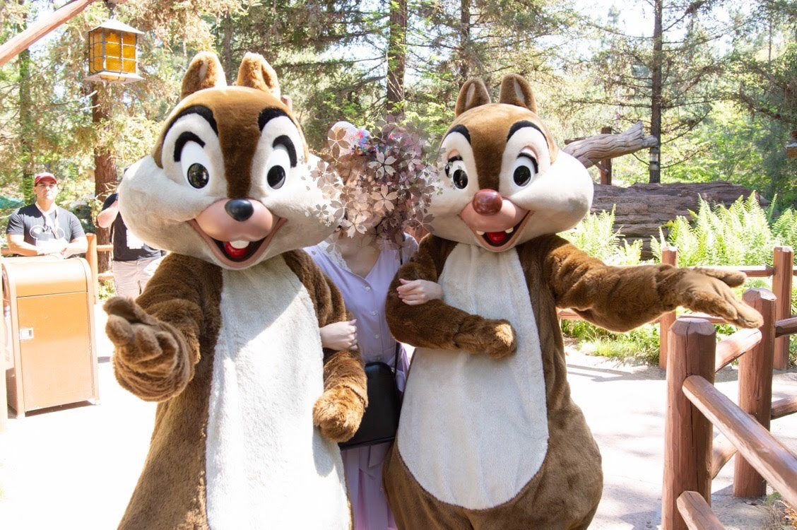 Dlr こんなところにチップとデールが グリズリーパークでグリーティング Meritrip