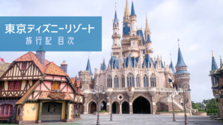 Tdr 開園待ちはいらない コロナ禍の東京ディズニーランドの開園をレポート Meritrip