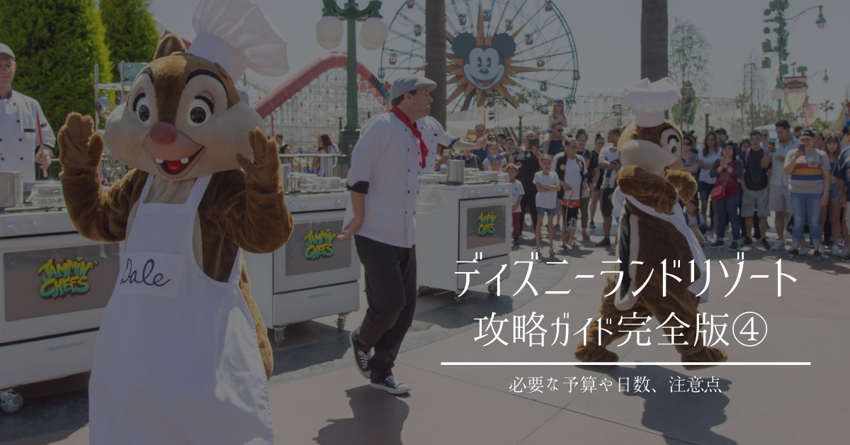 カリフォルニア ディズニーランド リゾート攻略ガイド完全版 Dlrに必要な予算や日数 注意点 Meritrip