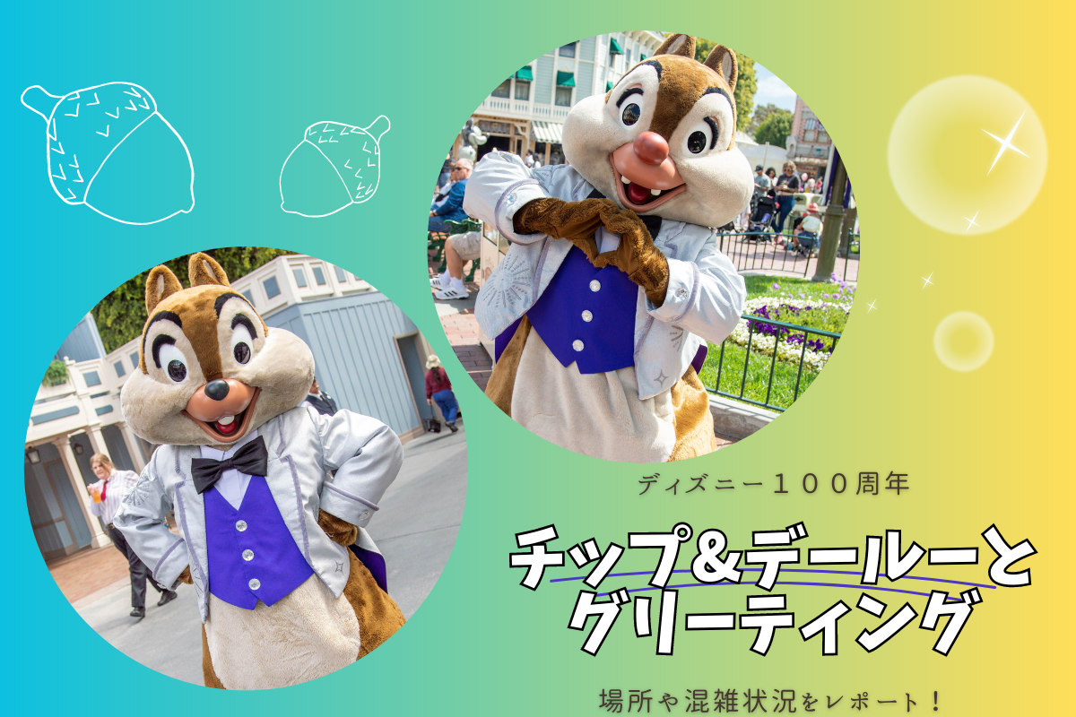 Disney - 100周年♡カチューシャ♡チップ　デール　海外ディズニー 海外ディズニー ディズニー100周年 チップとデール レスキュー