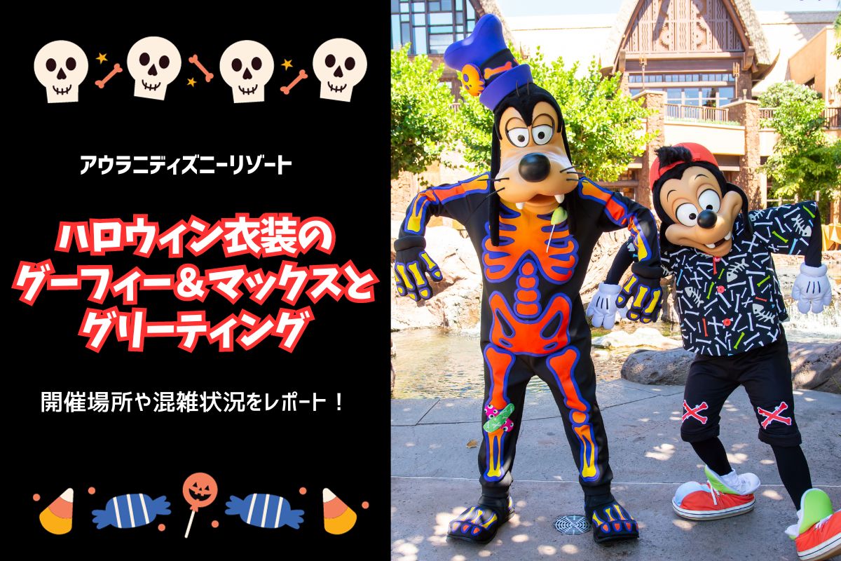 N/A アフターパーティーハワイ公演　非売品限定グッズ　新品未開封 N/A アフターパーティー ハワイ公演 非売品限定グッズ 新品未