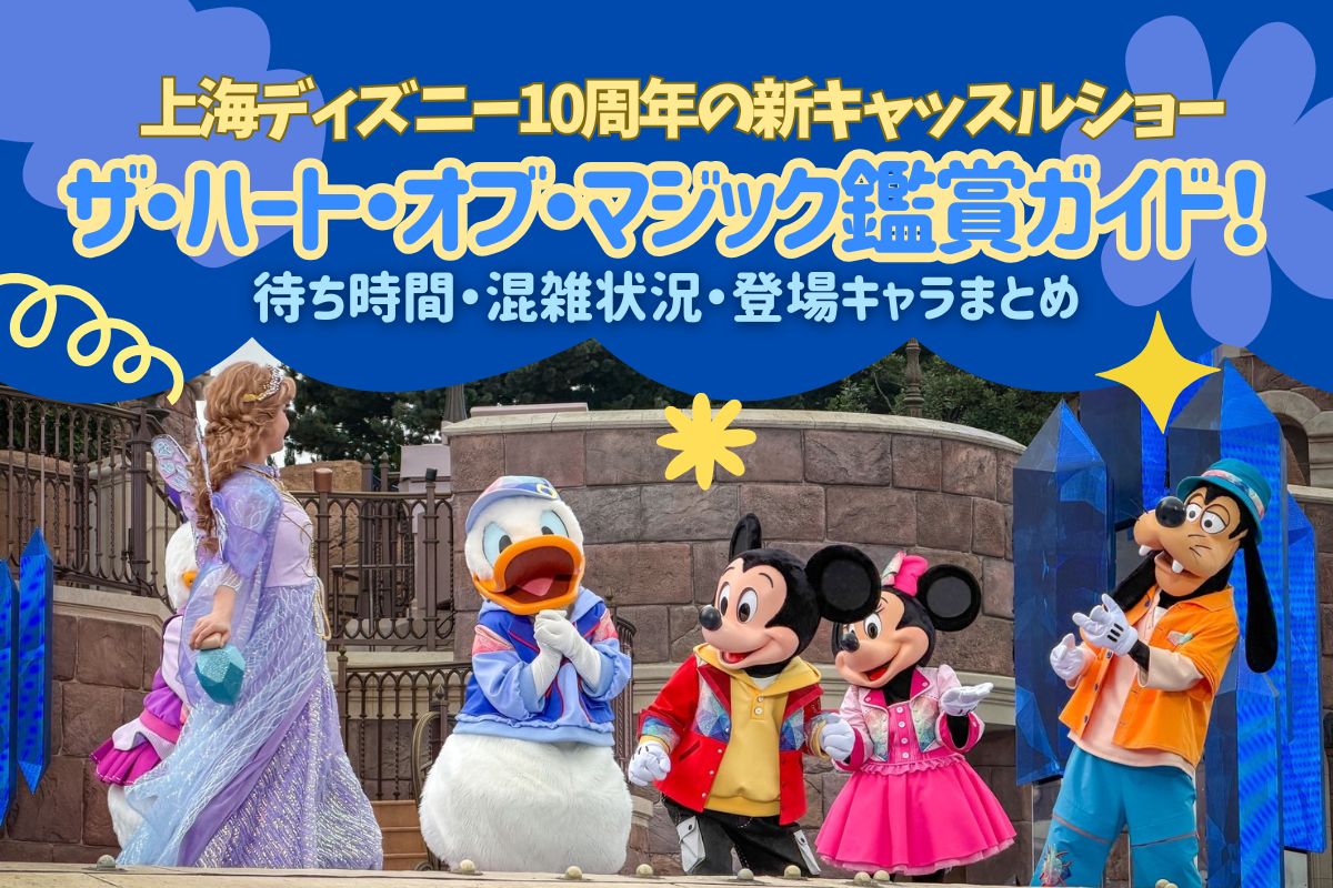 上海ディズニー 10周年 パーカー Mサイズ ✨上海ディズニー 10周年限定 